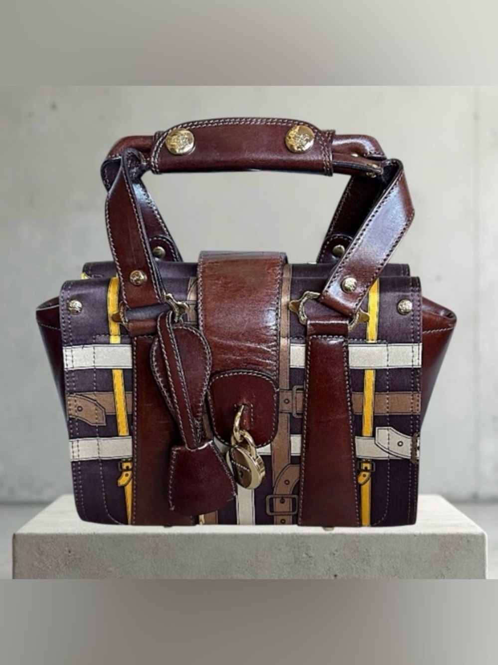 Burberry Rare  Bag authentic COA